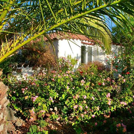 Finca Cosmos El Paso Exterior photo