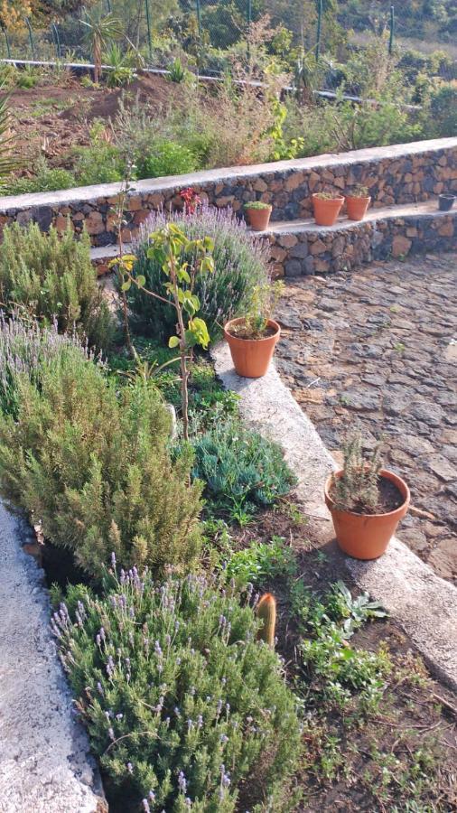 Finca Cosmos El Paso Exterior photo
