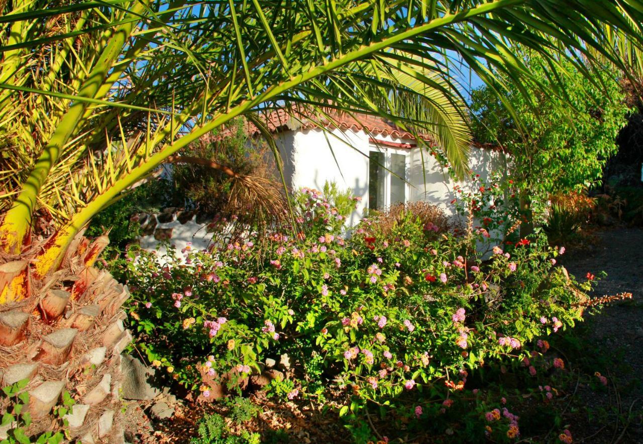 Finca Cosmos El Paso Exterior photo