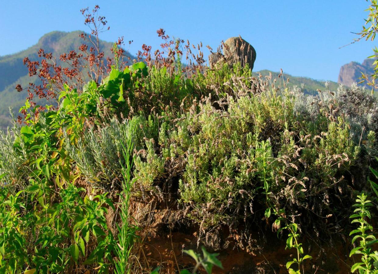 Finca Cosmos El Paso Exterior photo